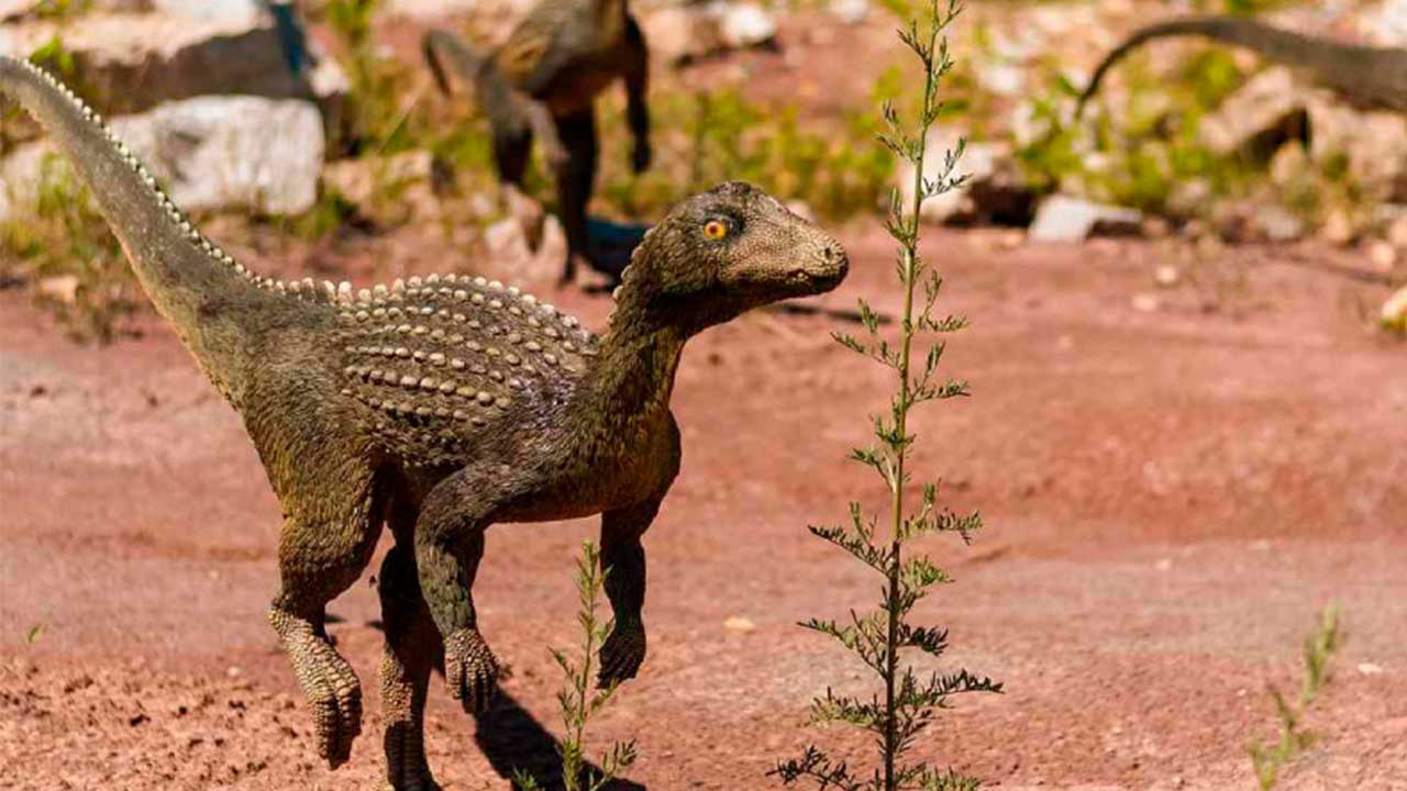 Dinosaurios emplumados y megarraptores dominaron la Patagonia chilena hace  70 millones de años – Cambio Digital